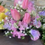 春の花が多数入荷しました