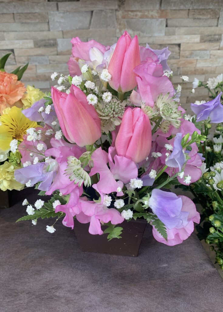 春の花が多数入荷しました